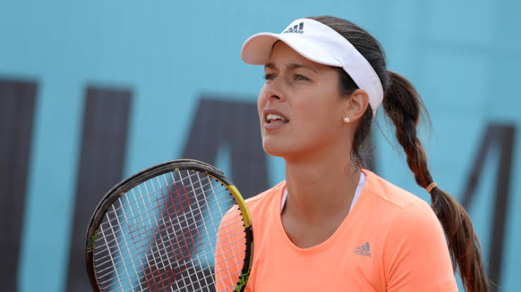 ana ivanovic vermögen